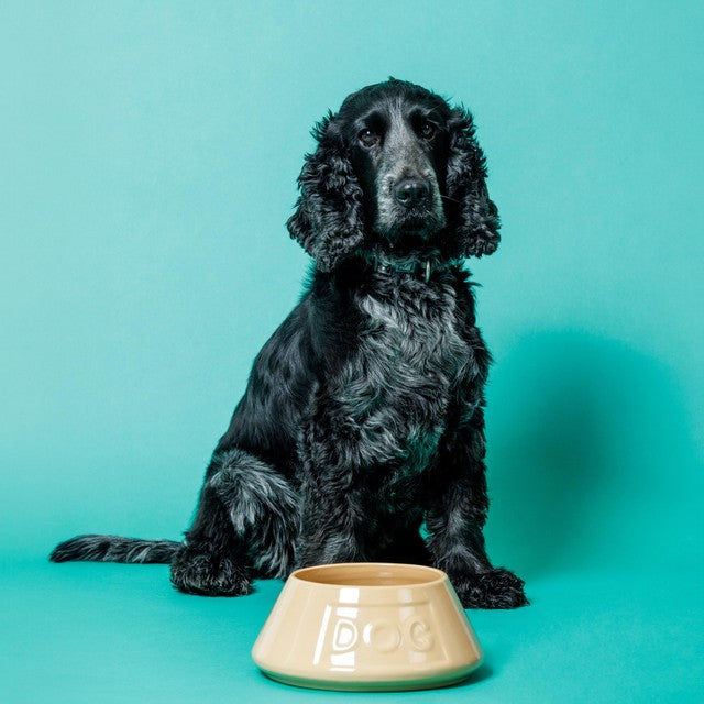 Mason Cash lettered dog bowl 21cm, imported from the UK