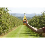 Henry Weston cloudy vintage cider 500ml, UK version