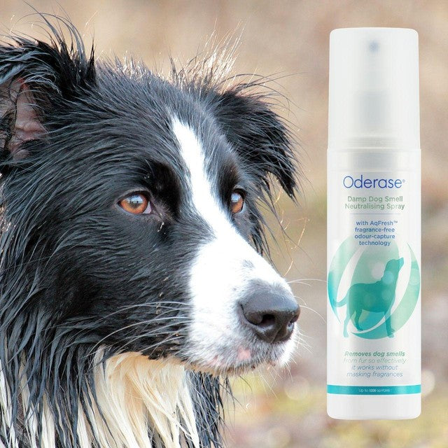 Oderase damp dog smell neutralising spray 200ml, imported from the UK