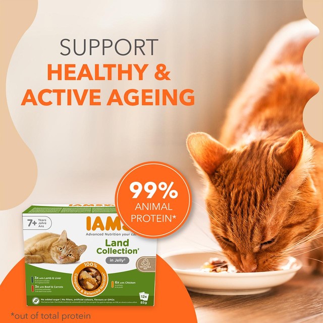 IAMS cat food meat variety mix 12x85g, UK version