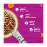 Whiskas cat food pouches Tasty Mix Country Collection 12x85g (British brand)