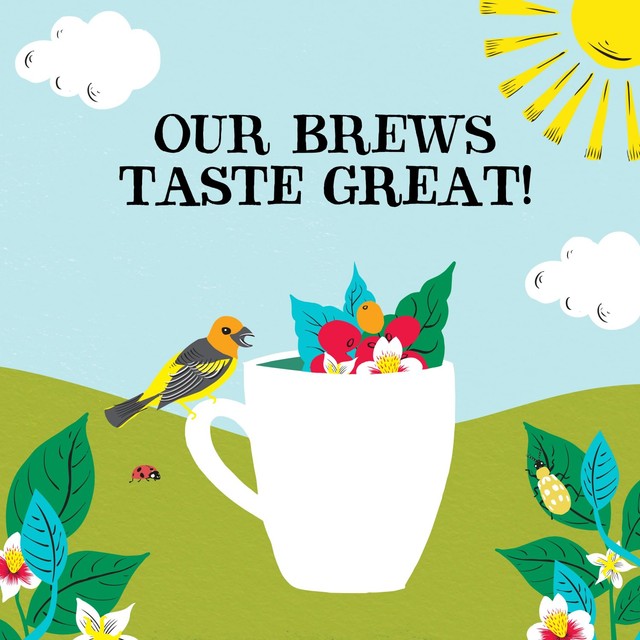 Clipper Latin American Decaf Instant Coffee 100g, UK version