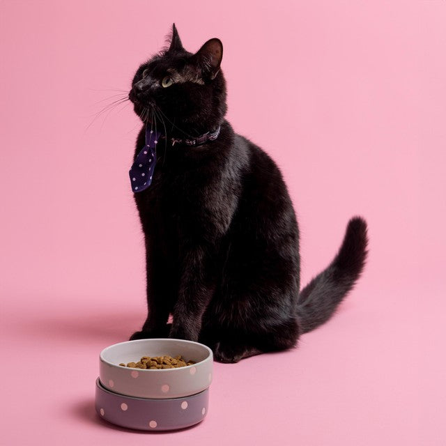 Mason Cash Polka Dot Grey pet bowl 13cm, imported from the UK