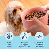 Tails.com Salmon Dog Food 2kg (British brand)