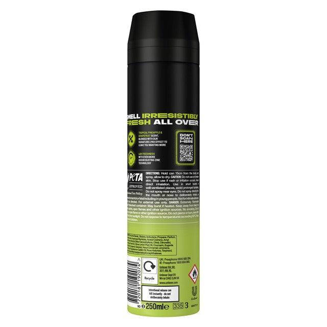 Lynx Epic Fresh body spray 250ml grapefruit pineapple, UK version