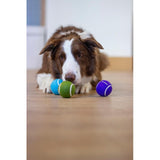 Rosewood Battersea Tennis Balls pack of 3 - British product