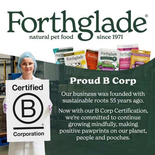 Forthglade banana and honey dog treats 90g - British product