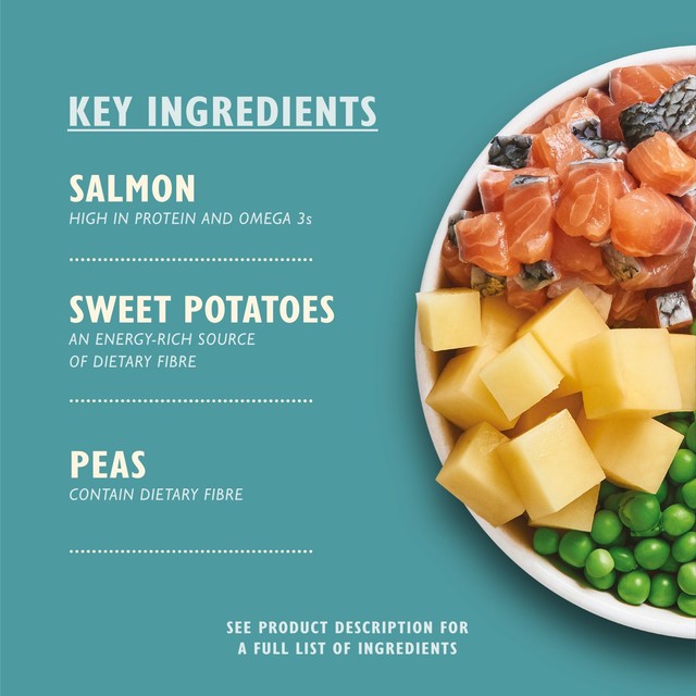 Lily's Kitchen Salmon Supper dry dog food 2.5kg, UK version