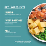 Lily's Kitchen Salmon Supper dry dog food 2.5kg, UK version