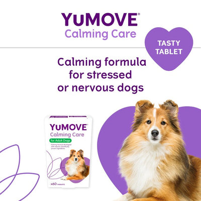 Nahrungsergänzungsmittel zur Beruhigung von Hunden bei Stress und Angstzuständen, Tabletten