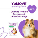 Lintbells dog stress and anxiety calming supplement (British brand)