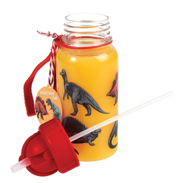 Rex London water bottle Prehistoric Land with straw 500ml, UK version