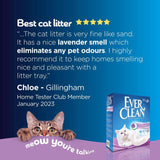 Ever Clean lavender scented clumping cat litter 10L - British product