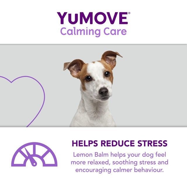 Lintbells dog stress and anxiety calming supplement (British brand)