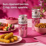 Gordon's pink gin and tonic 250ml can, UK version