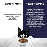 FELIX Doubly Delicious salmon and vegetables dry cat food 2kg, UK version