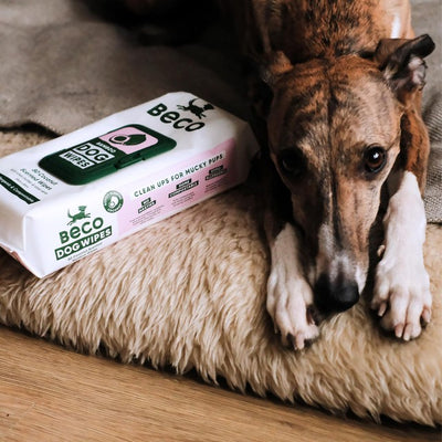 Beco Pets Bamboo Dog Wipes Coconut Scented Dog Cleaning Wipes 80 Pack