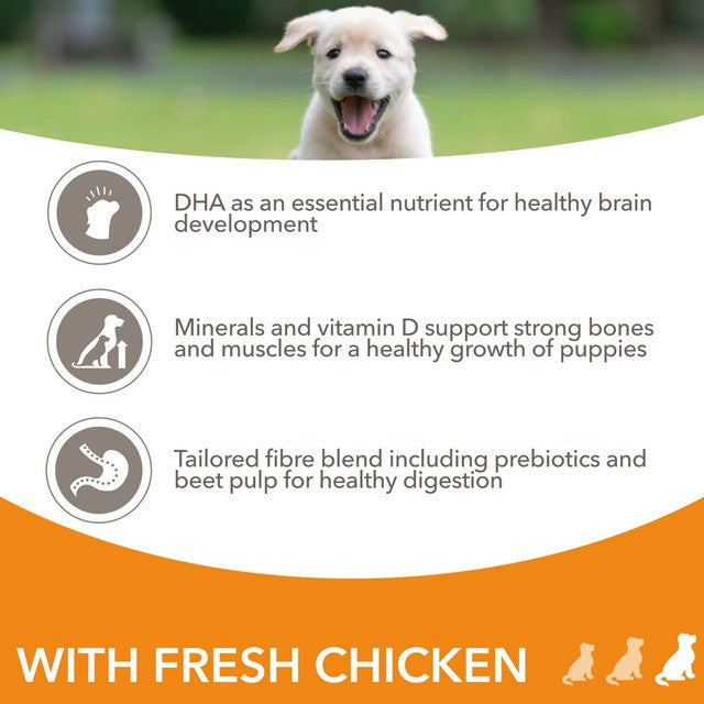 Iams puppy food large breed with fresh chicken 2kg, UK version