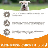 Iams puppy food large breed with fresh chicken 2kg, UK version