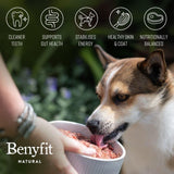Benyfit Natural Meat Feast raw dog food 1kg - British product