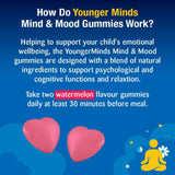 Haliborange Younger Minds Mind & Mood watermelon flavoured gummies 60 pack, UK version