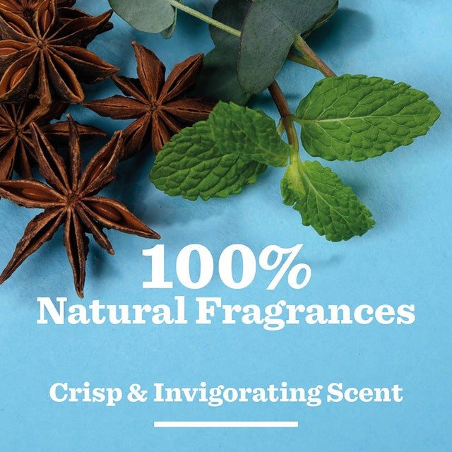 Bulldog peppermint & eucalyptus natural roll-on deodorant - British product