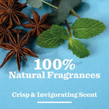Bulldog peppermint & eucalyptus natural roll-on deodorant - British product