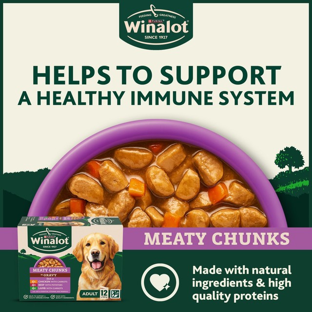 Winalot Meaty Chunks wet dog food pouches 12 x 100g (British brand)