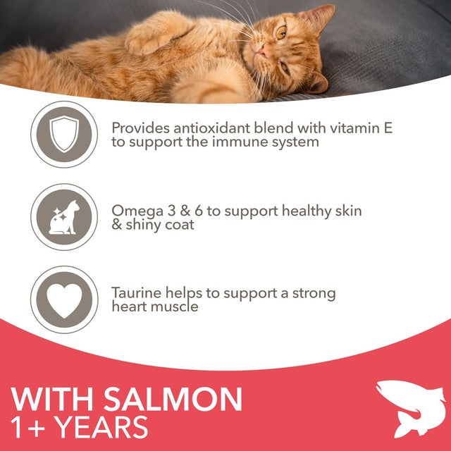 IAMS Salmon Cat Food 800g, UK version