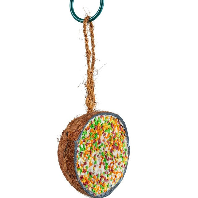 CJ Wildlife Coconut Feast bird feeder - British product