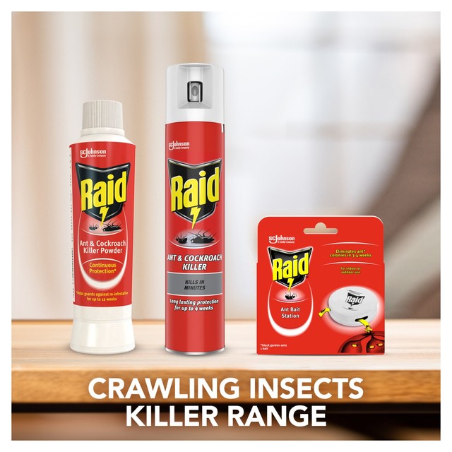 Raid insect killer spray 300ml, imported from the UK