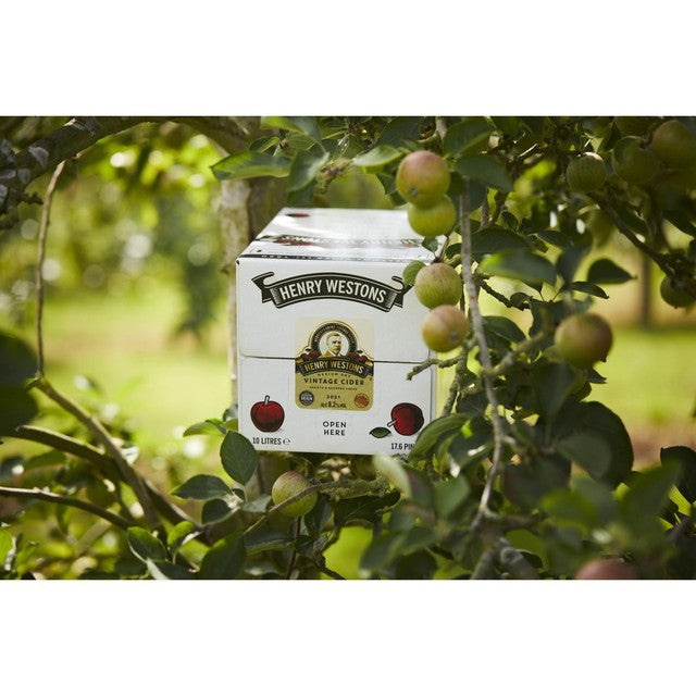 Henry Weston Vintage Cider 10L, UK version