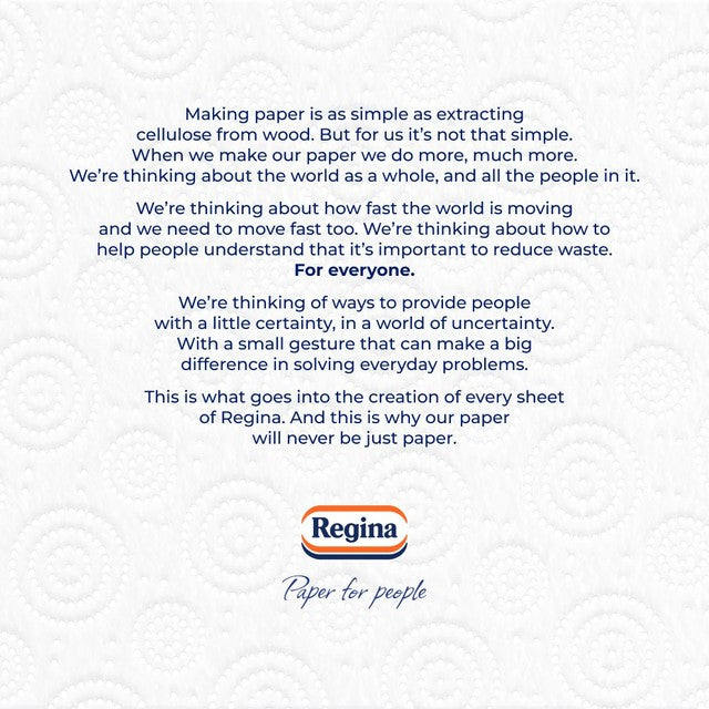 Regina Absorb kitchen roll 3 roll pack, imported from the UK