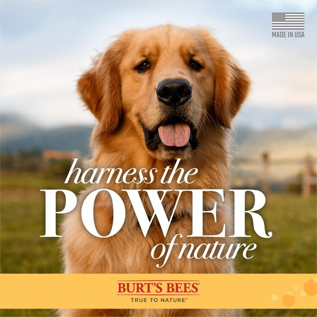 Burt's Bees oatmeal dog shampoo 473ml - British product