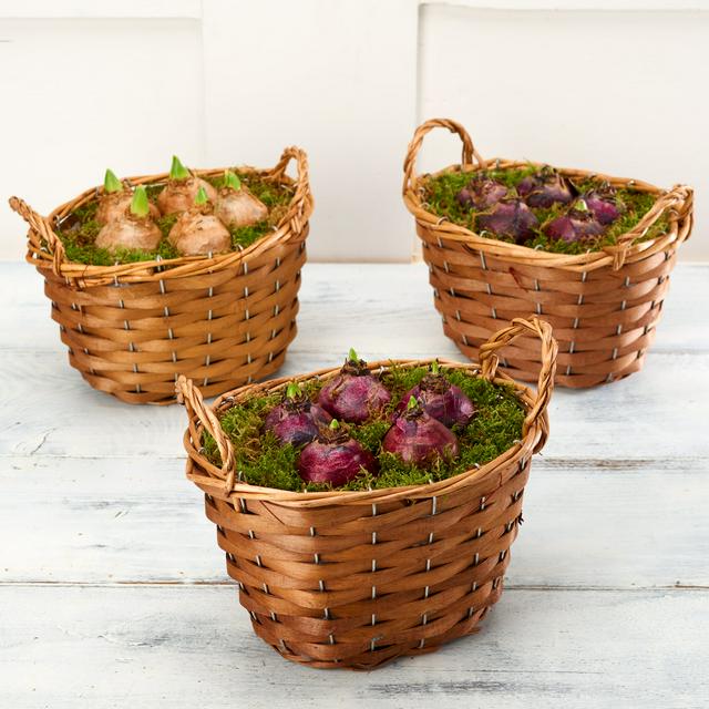 Hyacinth Basket