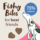 Forthglade Fishy Bites Salmon & Dill dog treats 70g - British product