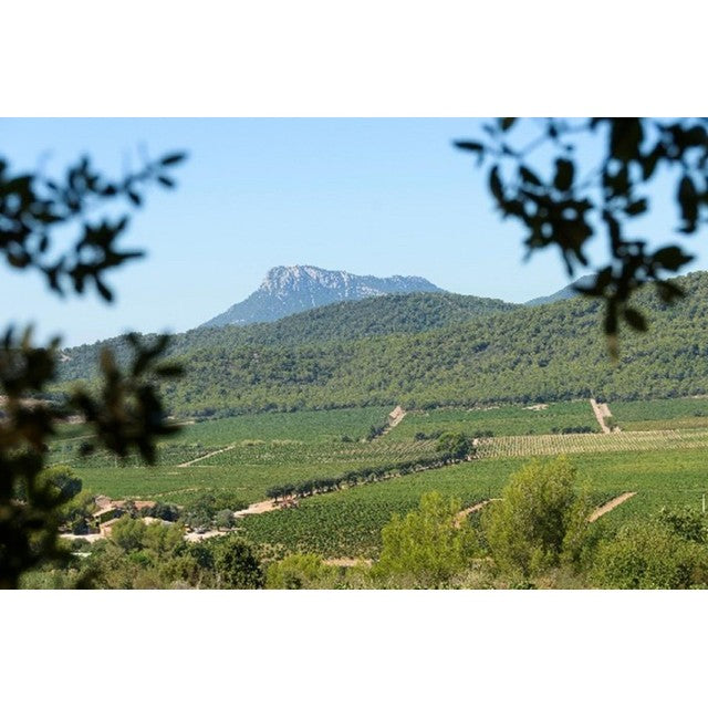 Chateau La Gordonne Organic Provence rosé wine 75cl - British product