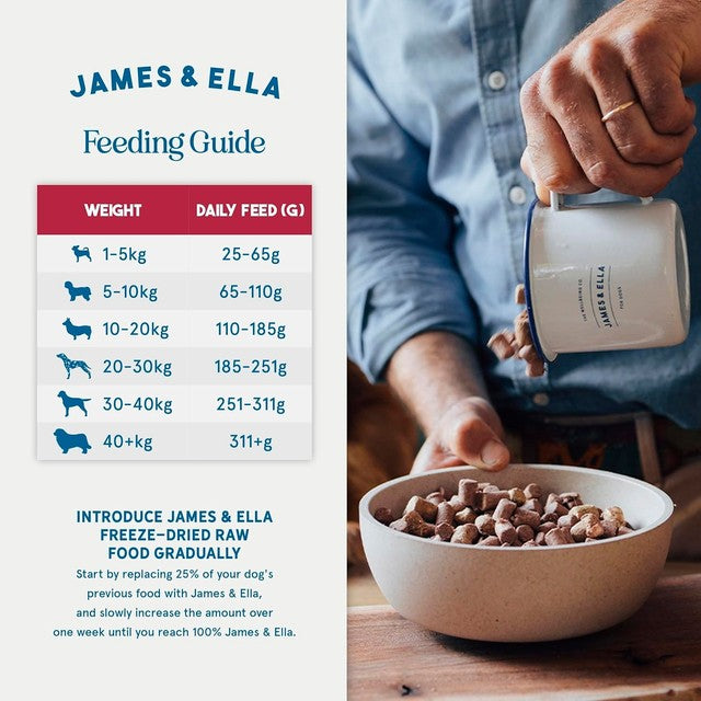 James & Ella beef dog food 100g, UK version