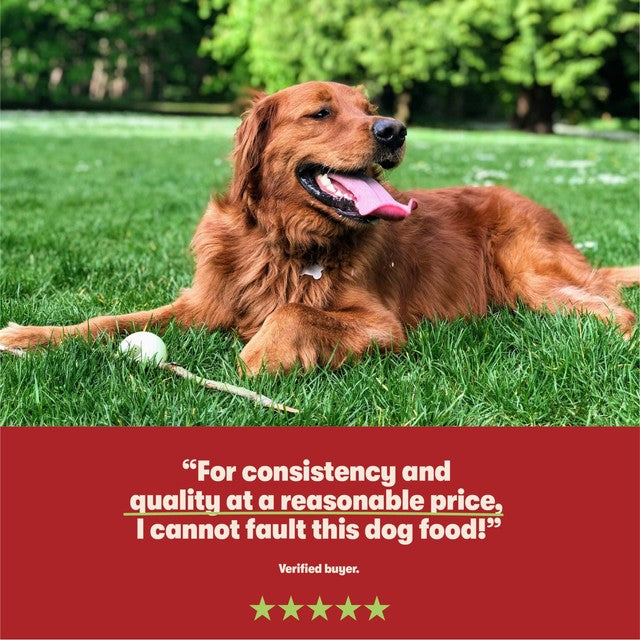 Harringtons wet dog food variety pack 16 x 400g, UK version
