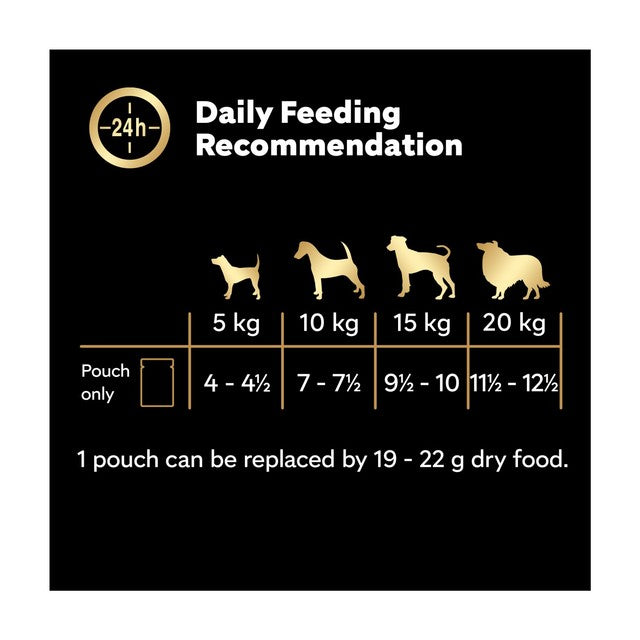 Cesar mixed selection wet dog food pouches 12 x 100g - British product