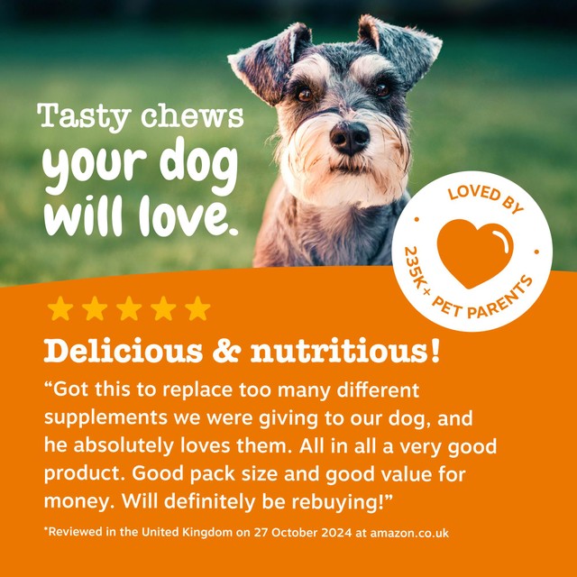 Zesty Paws senior dog chews turkey flavour, imported from the UK