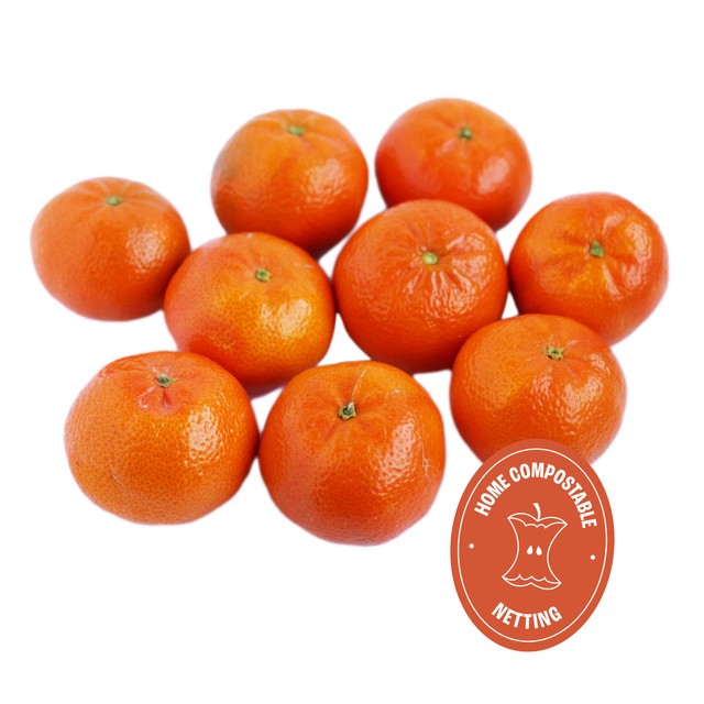 Wholegood Organic Clementines 600g carton (British brand)