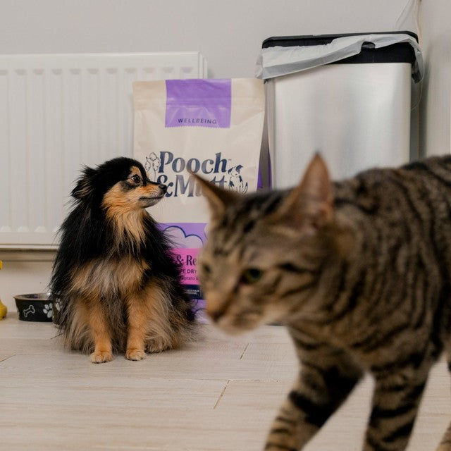 Pooch & Mutt Calm & Relaxed dry dog food (British brand)
