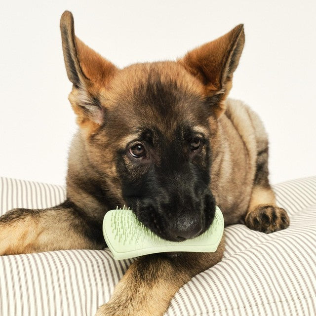 Tangle Teezer Pet Teezer Puppy Brush in green - British product