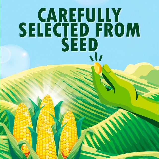 Green Giant salt free sweetcorn can - British product