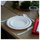 Duni white bagasse party plates 22cm (British brand)
