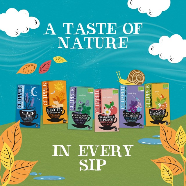 Clipper lemon and ginger herbal tea infusion 20 count - British product