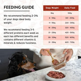 Benyfit Natural Beef & Tripe raw dog food 1kg - British product