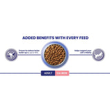 Purina One salmon dry cat food 800g, imported from the UK