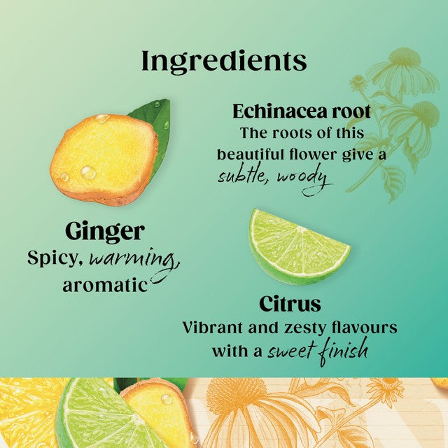 Twinings Defence Green Tea with Citrus Ginger 20 bags (British brand)